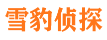 环江捉小三公司